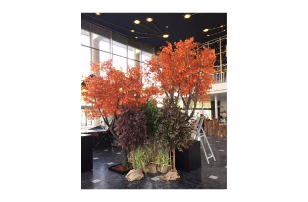 FÆK | Tree Maple red 360