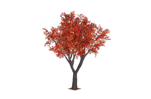 FÆK | Tree Maple red 360