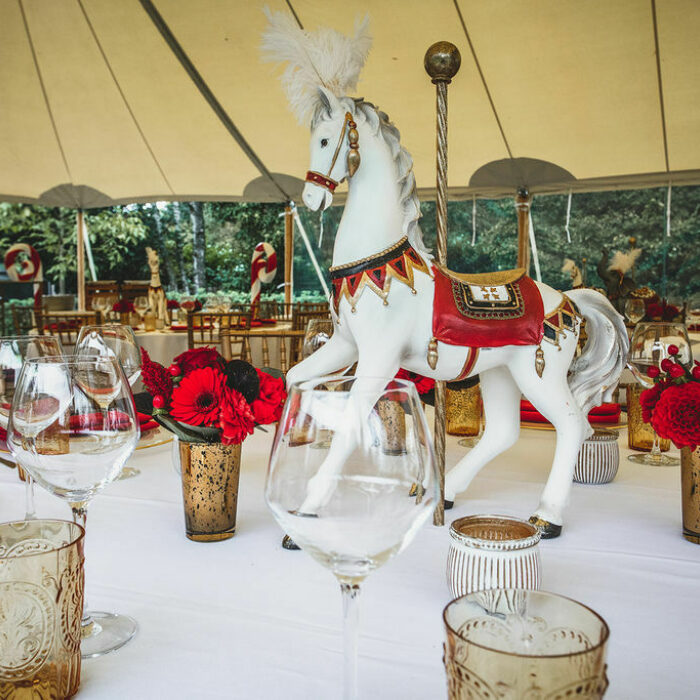 Circus Paard Circus Paard