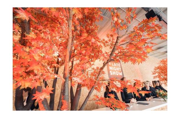 FÆK | Tree Maple red 360