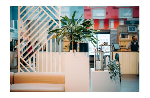 FÆK | Plant Houseplant large (assorted) 6pc