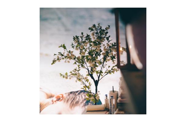 FÆK | Plant Cherry blossom white 200 in Ecopot 30 light grey