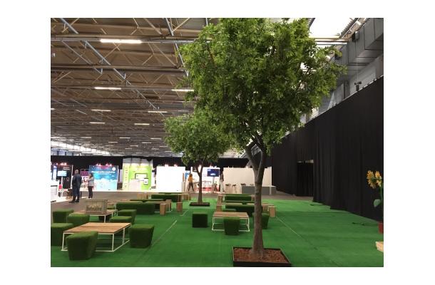 FÆK | Tree Green Ficus 615