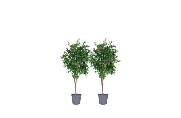 FÆK | Plant Maple green 210 in Ecopot 40 taupe