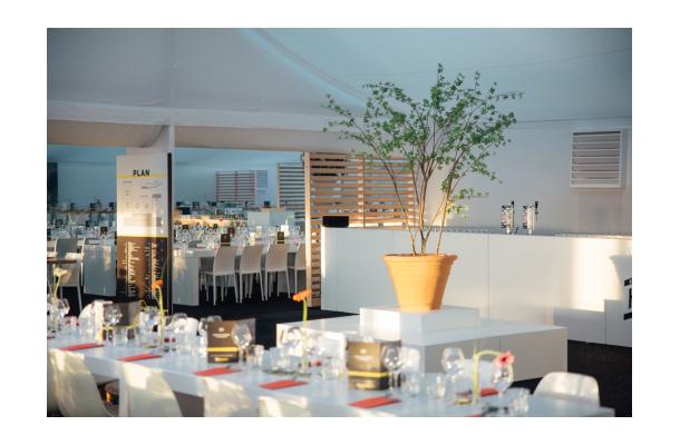 FÆK | Plant Green tree 240