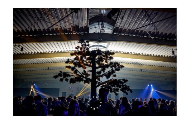 FÆK | Tree Pine-tree