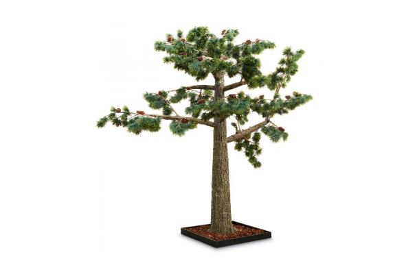 FÆK | Tree Pine-tree