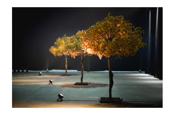 FÆK | Tree Ginkgo yellow one stem 350