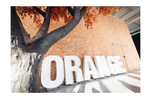 FÆK | Tree Maple red 360