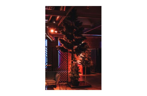 FÆK | Christmastree green 300/460