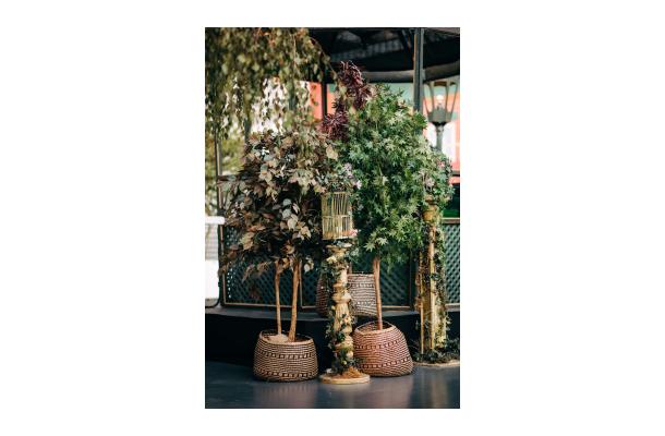 FÆK | Plant Maple green 210 in Ecopot 40 taupe