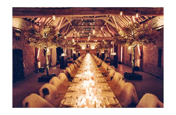 FÆK | Tree Ginkgo yellow one stem 350