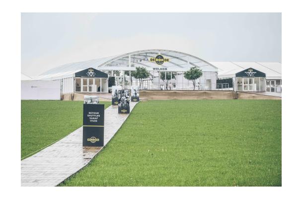 FÆK | Tree Ginkgo green two stems 350