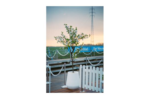 FÆK | Plant Cherry blossom white 200 in Ecopot 30 light grey