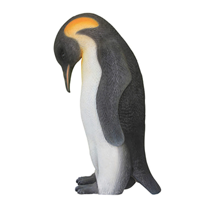 Pinguïn Mannetje Pinguïn Mannetje