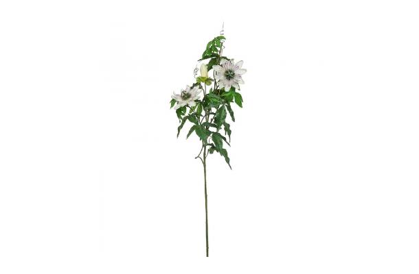 FÆK | Flowers Passiflora cream 30pc