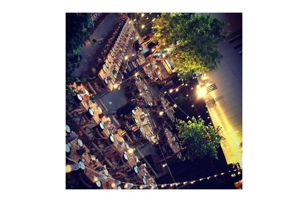 FÆK | Tree Green Ficus 615