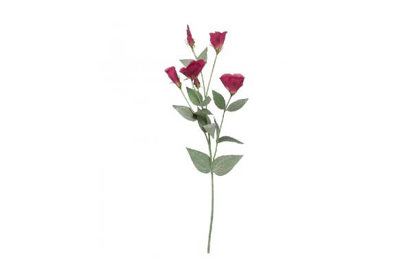FÆK | Flowers Lisianthus fuchsia 60pc