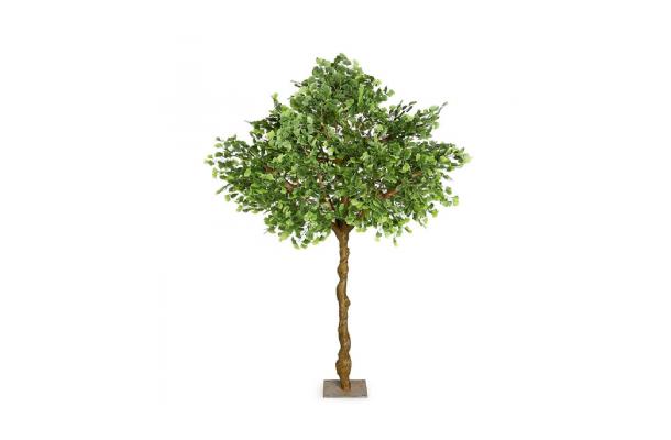 FÆK | Tree Ginkgo green one stem 350