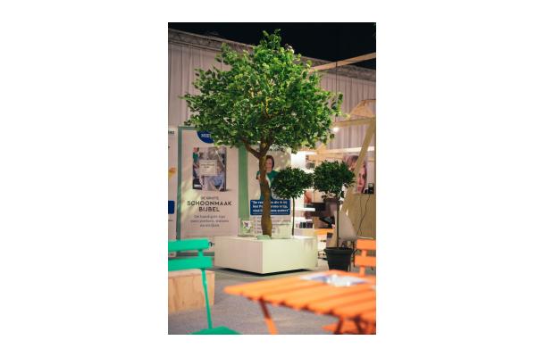 FÆK | Tree Ginkgo green one stem 350