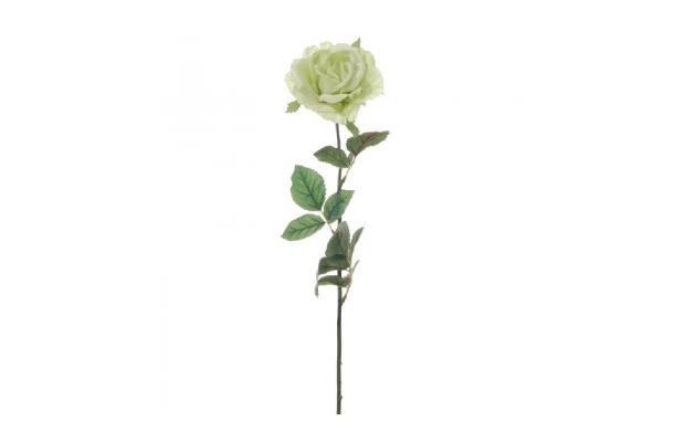 FÆK | Flowers Rose light green 60pc