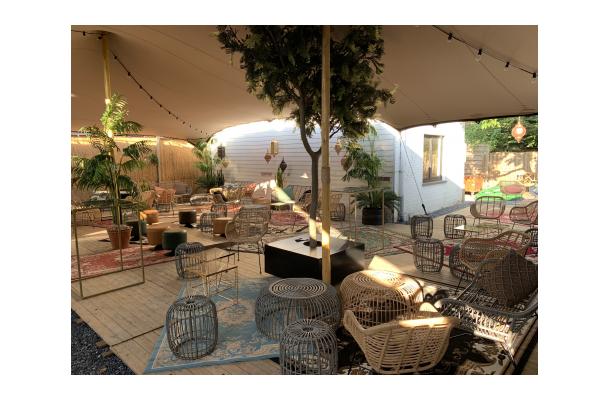 FÆK | Tree Phoenixtree