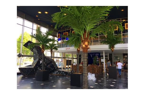 FÆK | Tree Palmtree