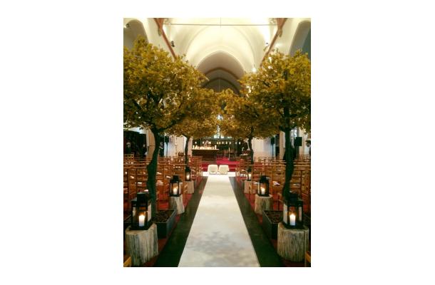 FÆK | Tree Ginkgo yellow one stem 350