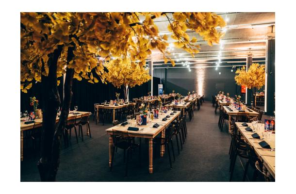 FÆK | Tree Ginkgo yellow two stems 350