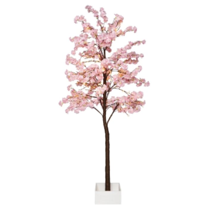Bloesemboom