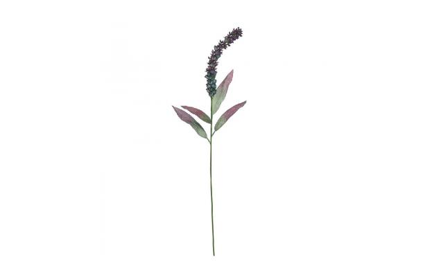 FÆK | Flowers Liatris purple 60pc