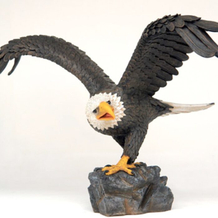 American Eagle / Amerikaanse Arend
