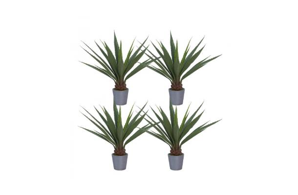 FÆK | Plant Agave green in Ecopot 30 grey