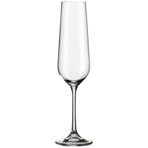 Puro Champagneglas 22cl (40 stuks)