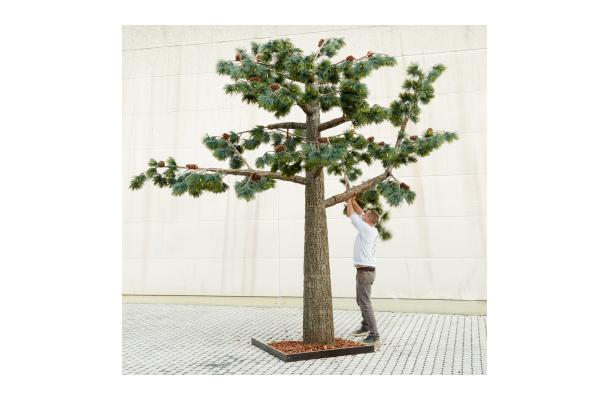 FÆK | Tree Pine-tree