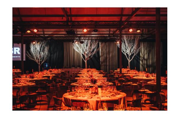 FÆK | Winter poplar tree 550