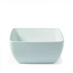 Schaal 25 x 25 x 12 cm Schaal 25 x 25 x 12 cm