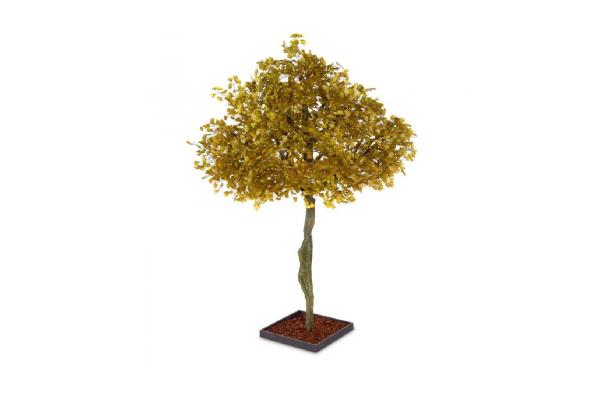 FÆK | Tree Ginkgo yellow one stem 350