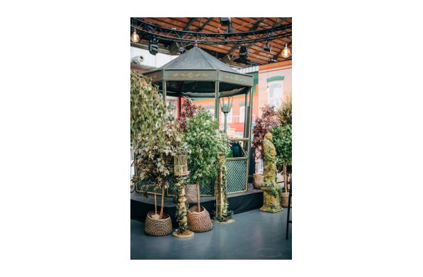 FÆK | Plant Maple green 210 in Ecopot 40 taupe