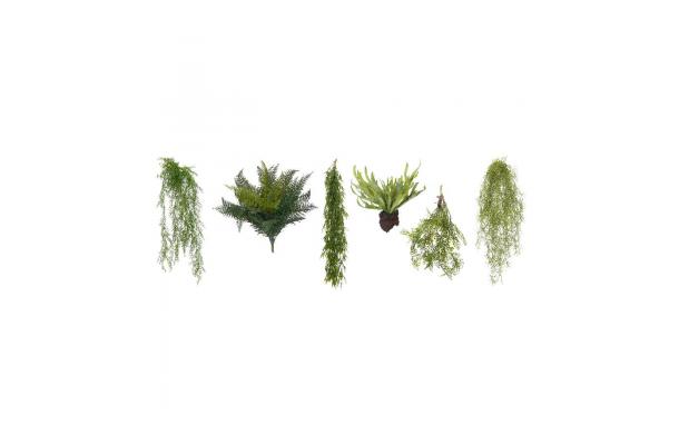OS : FÆK | Deco Hanging plant (assorted, NO POT) 5pc