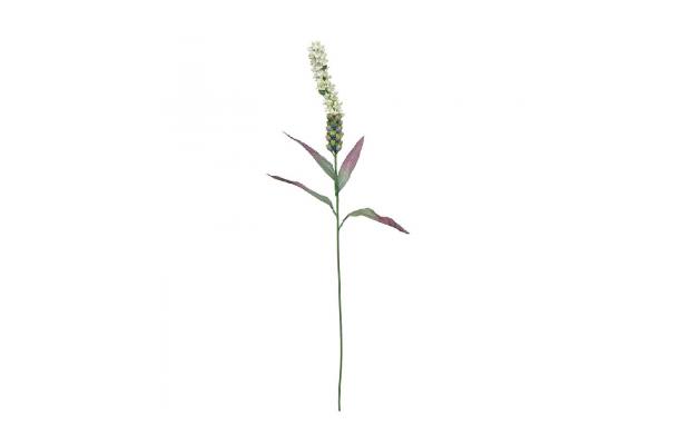 FÆK | Flowers Liatris white 60pc