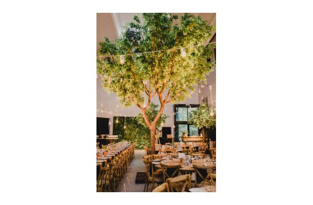 FÆK | Tree Green Ficus 615